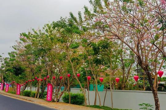 Lovely Room Oceanami Resort Long Hai Εξωτερικό φωτογραφία